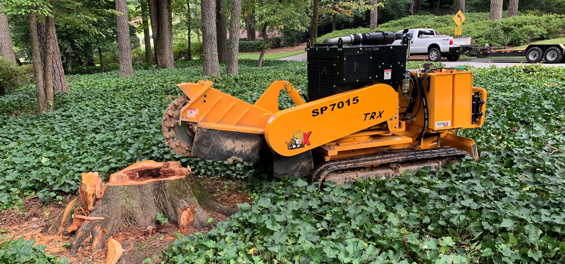 austin stump grinding company background