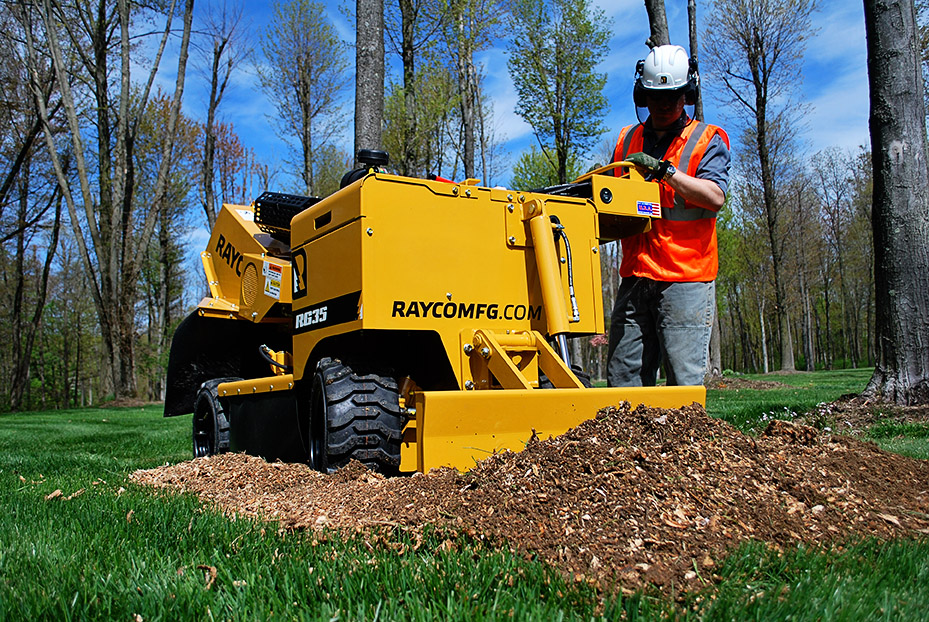 How to Choose the Best Stump Grinding Company in Austin: 12 Must-Ask Questions